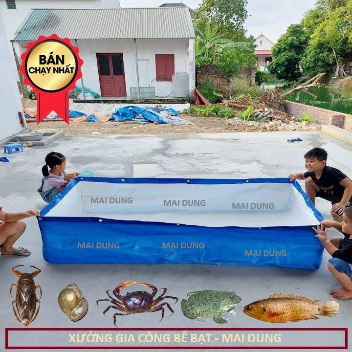Bể bạt nuôi ốc ếch cá lươn, loại korea xanh trắng