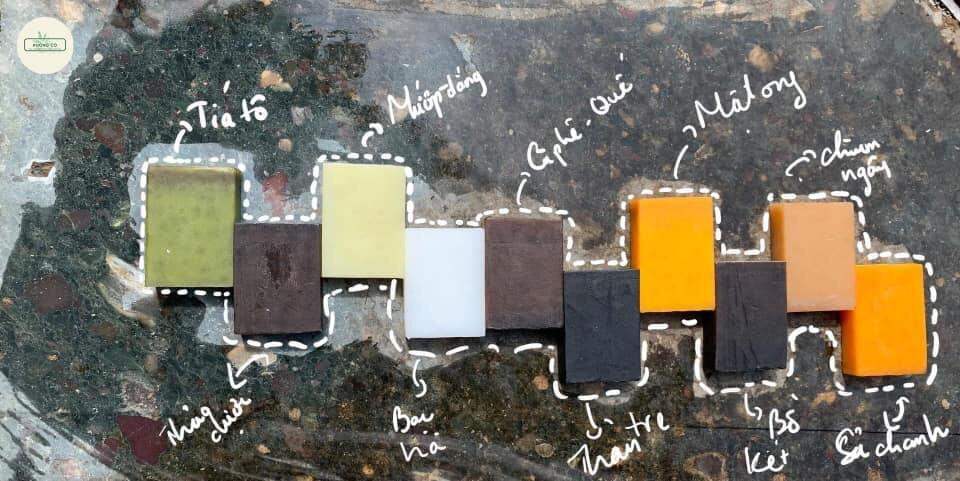 Combo sỉ 10 Xà Bông Sinh Dược