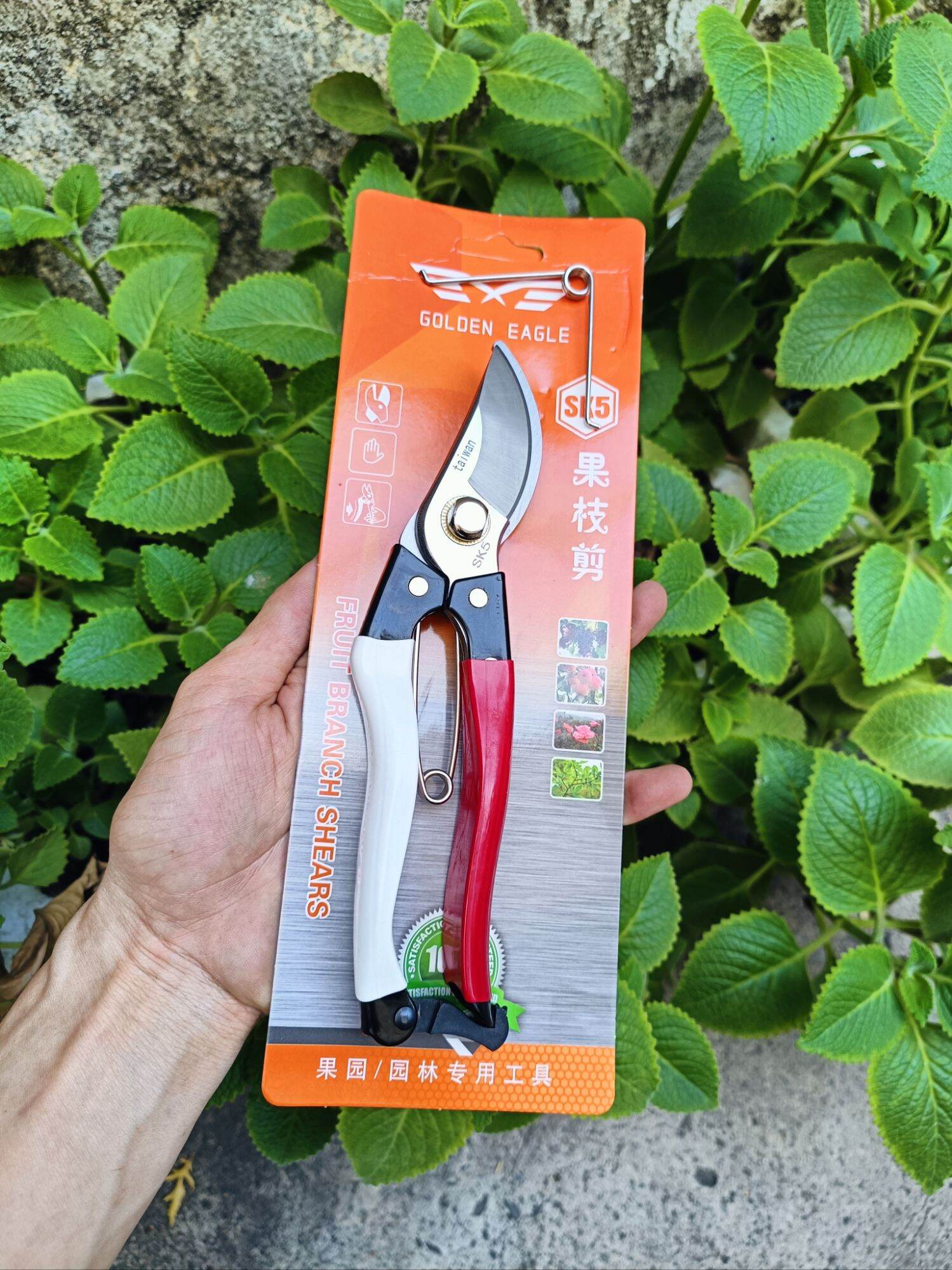 Kéo cắt cành Taiwan cao cấp