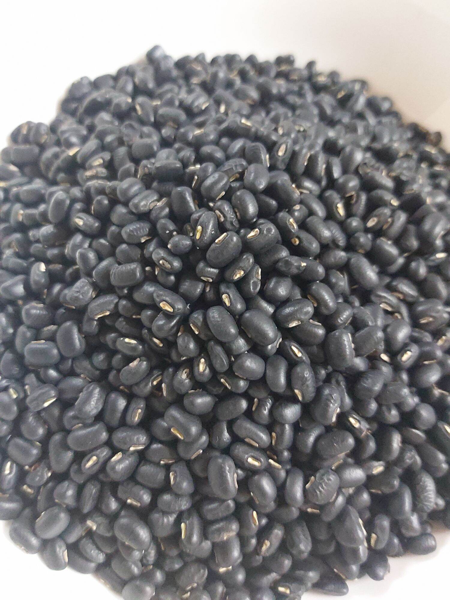 Đậu đen xanh lòng hạt nhỏ 1kg