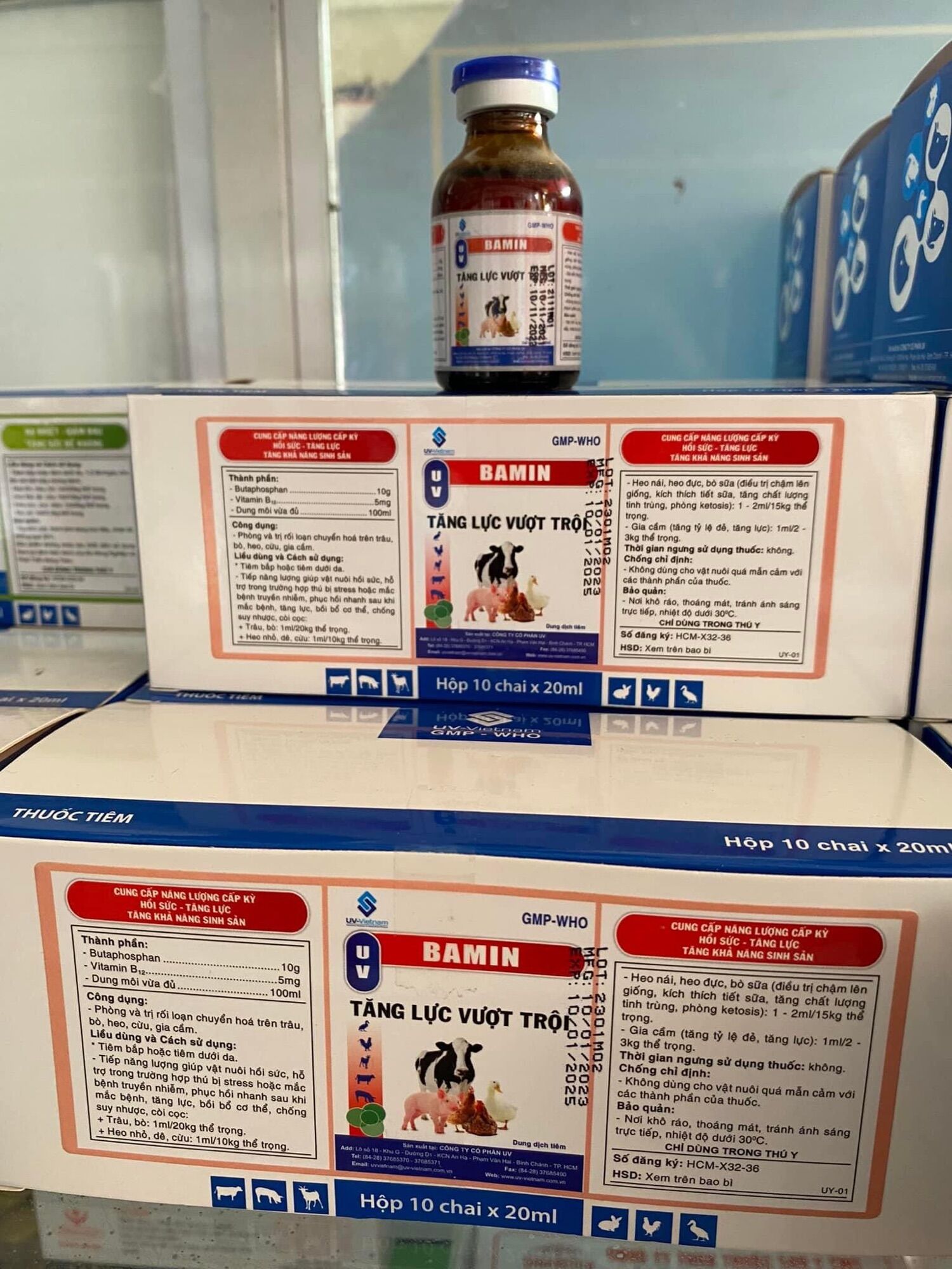 Bamin 20ml Tăng lực cấp tốc, Phục hồi sau đá nhanh, Phục hồi sau bệnh