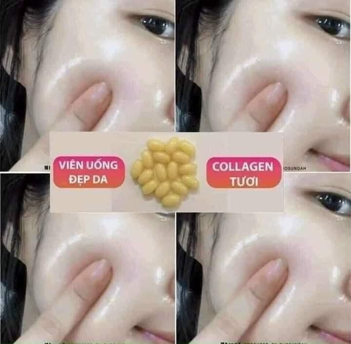 Viên uống Colagen Yến tươi