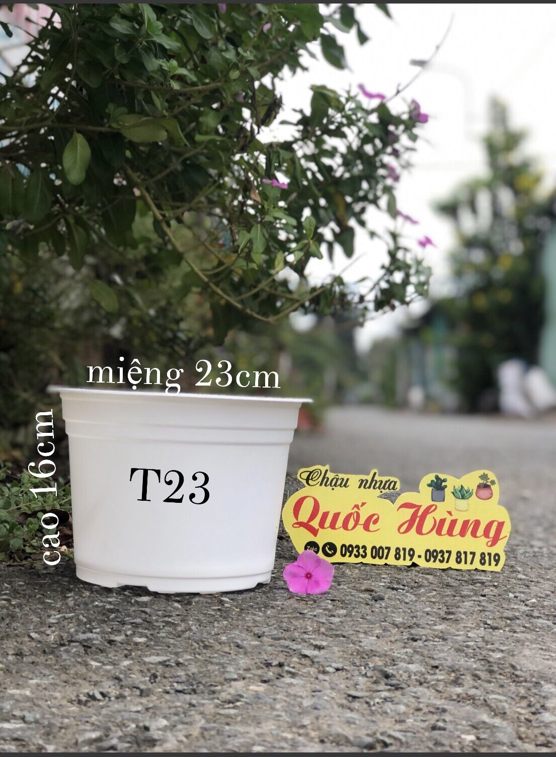 Combo 20 chậu nhựa trắng T23