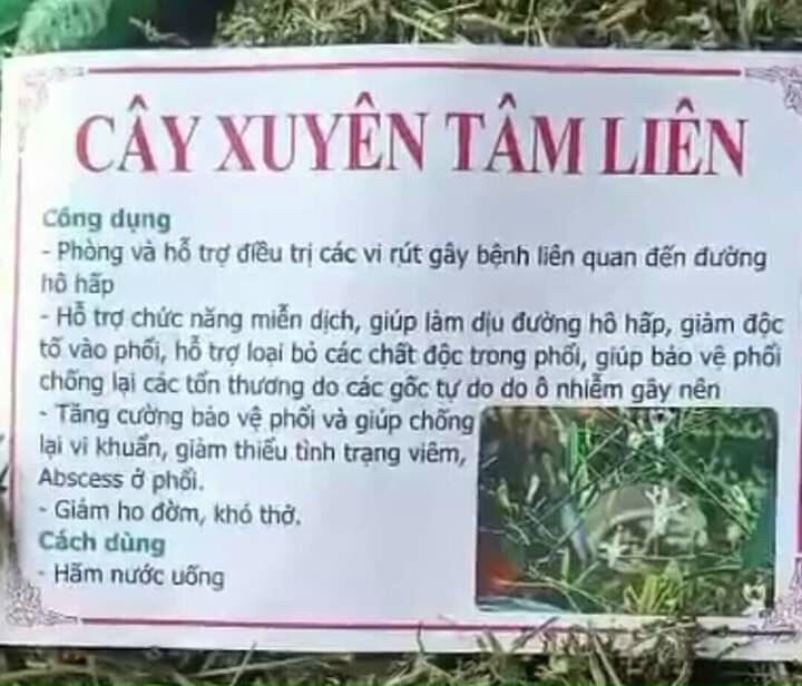 1 kg cây xuyên tâm liên khô ( cành và lá)