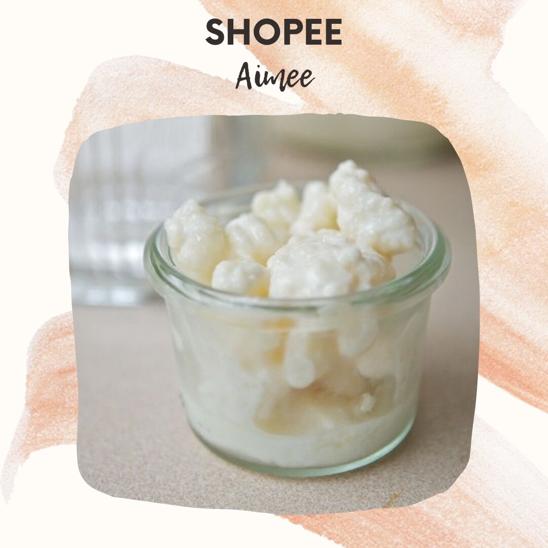 Men sữa chua Kefir