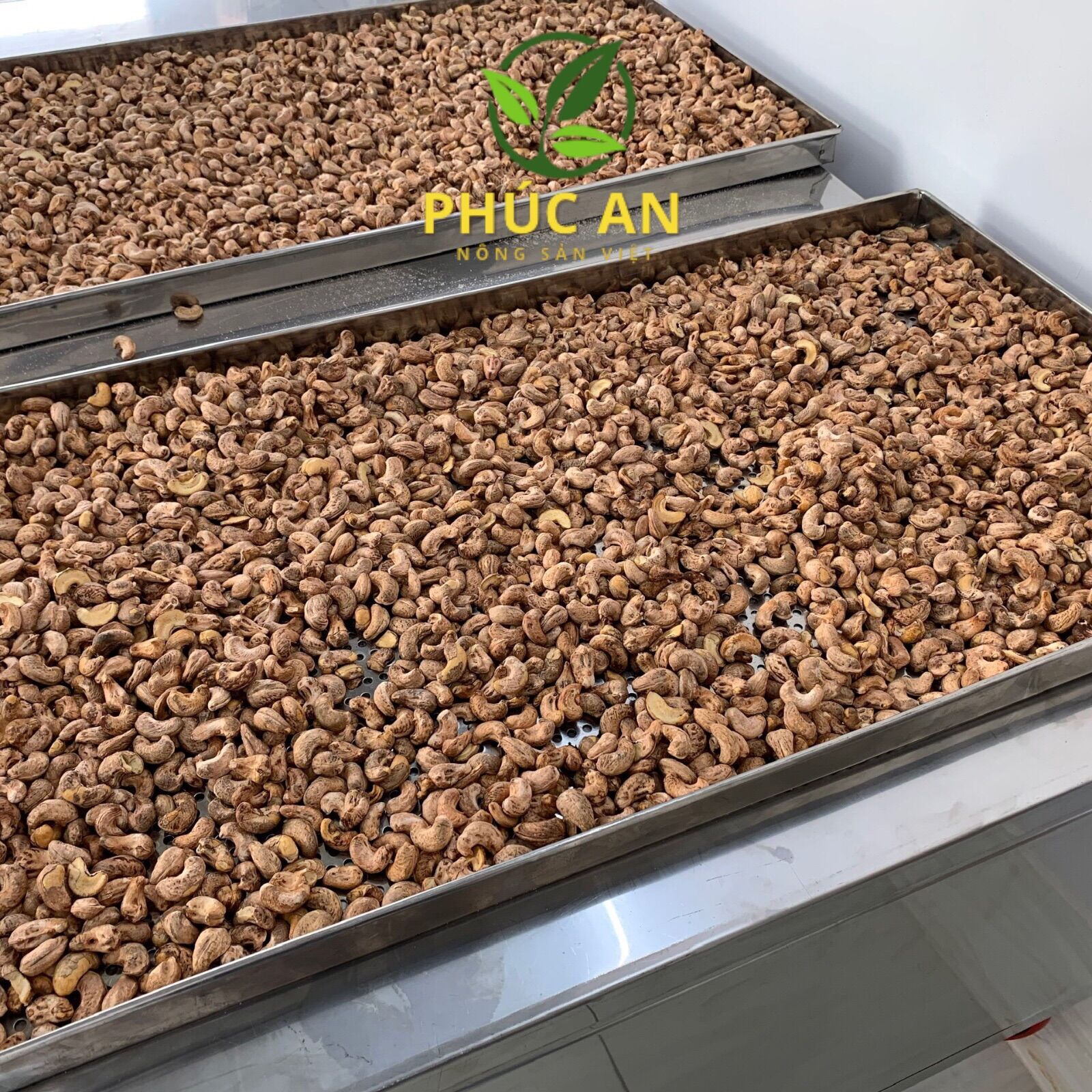 Hạt Điều Rang Muối PHÚC AN Có Vỏ Lụa 500g - Đặc Sản Bình Phước