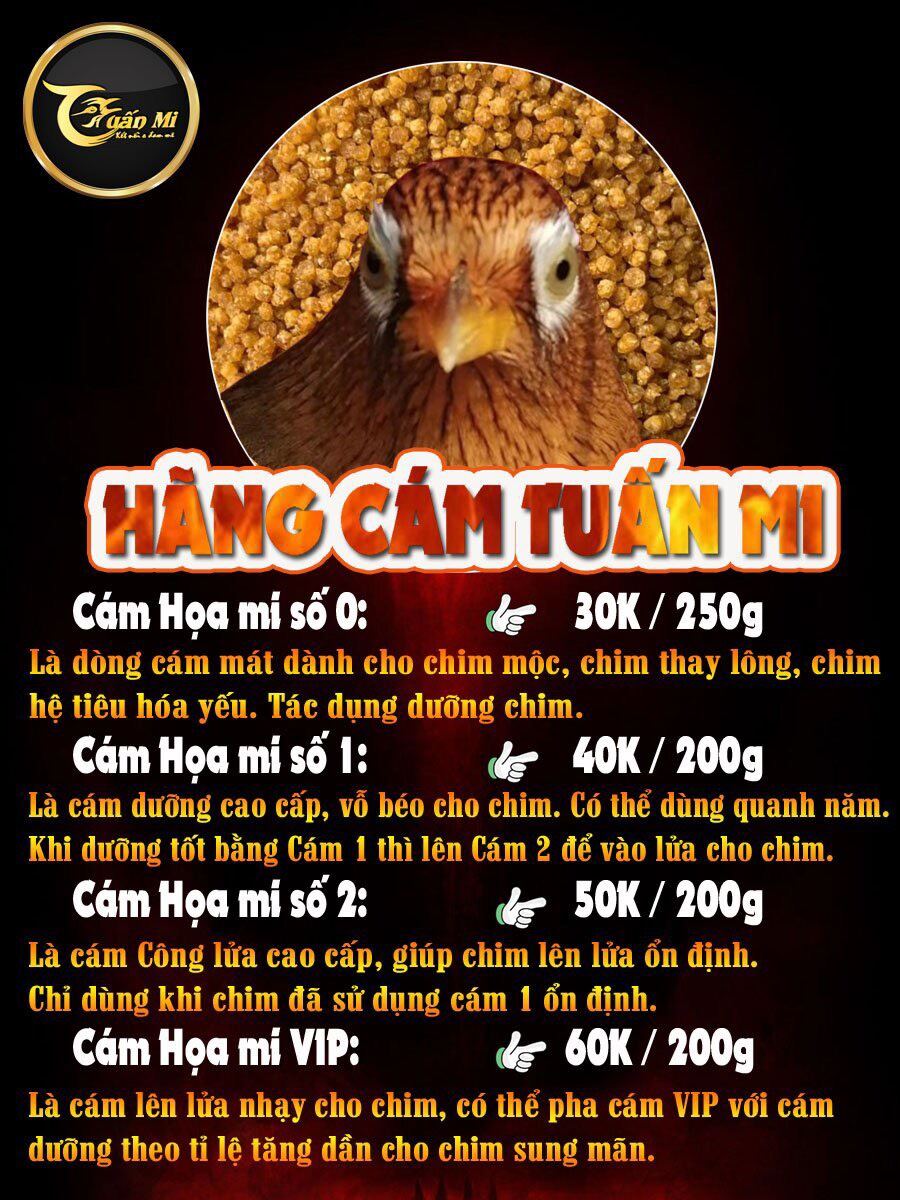Cám Hoạ Mi số 2 ( Tuấn Mi )