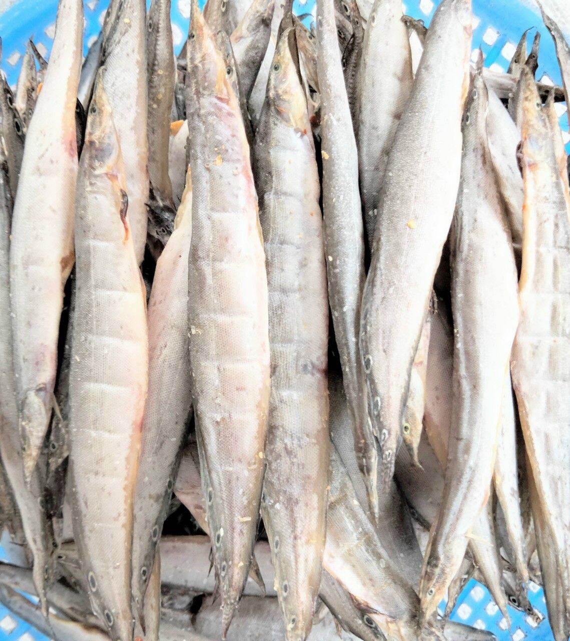 Khô cá Trạch loại nhì con to vừa vị vừa ăn