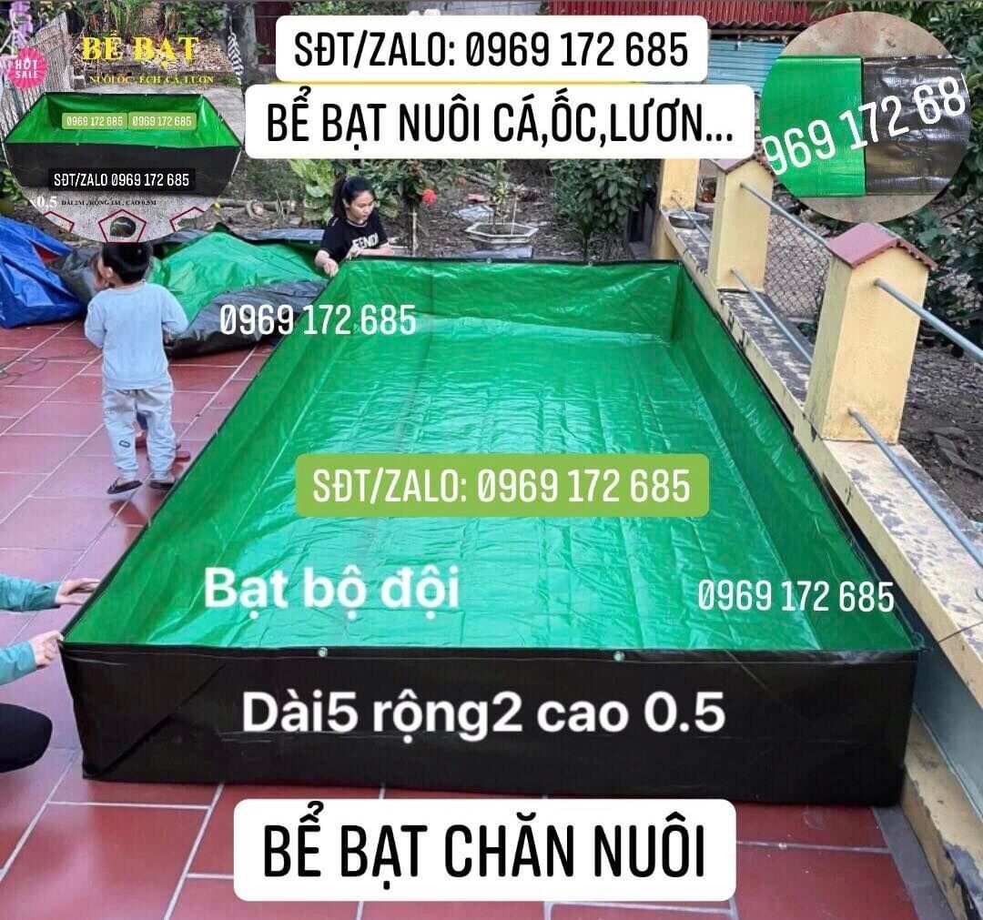 Bể bạt nuôi cá, ốc, ếch, lươn...