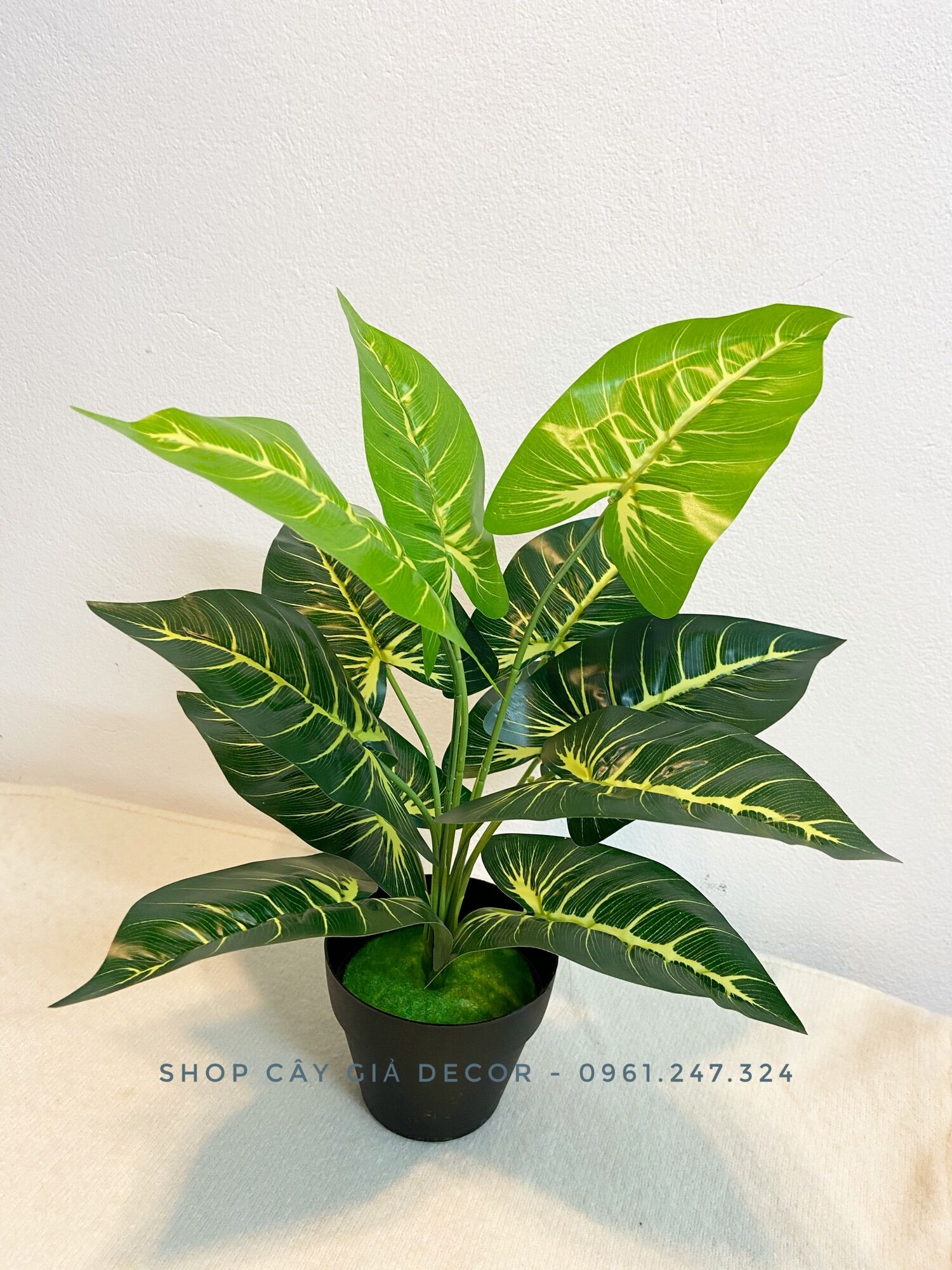 Cây giả - trầu bà sọc 40cm