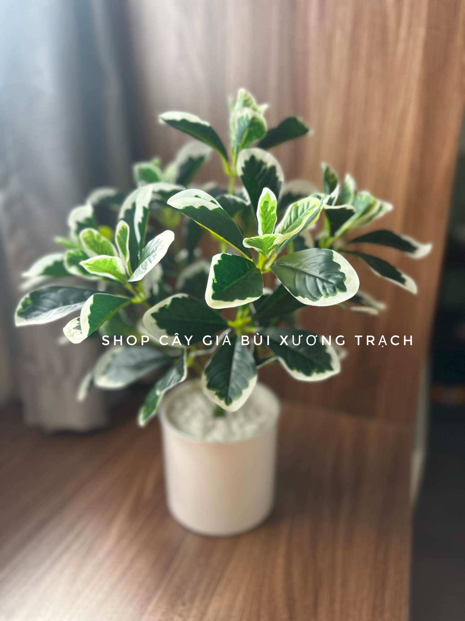 Chậu cây giả để bàn - chậu cây cẩm thạch 40cm