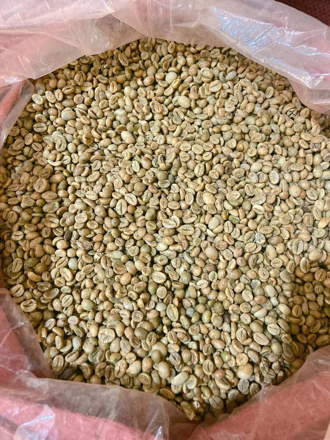 Cafe Arabica Cầu Đất gói 500g nguyên chất