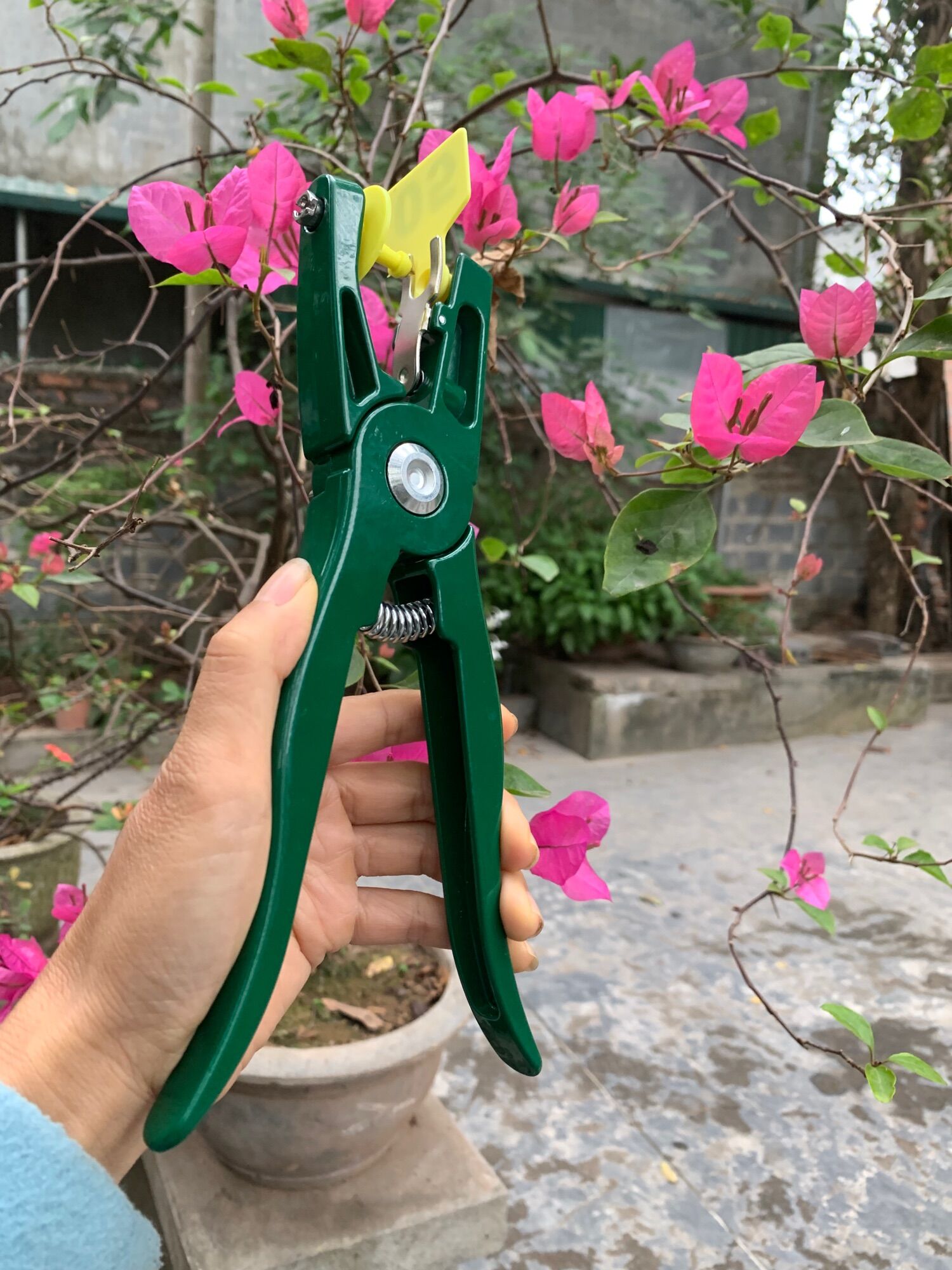 Kìm bấm thẻ tai bò dê heo lợn