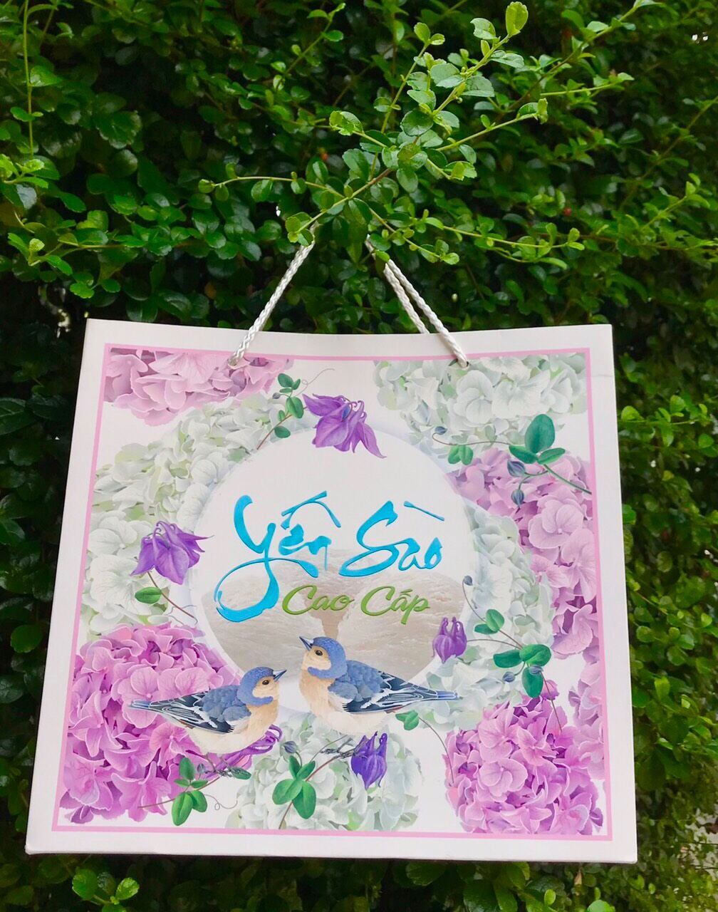 TÚI GIẤY ĐỰNG YẾN SÀO 100 gr(KHÔNG ÉP KIM )