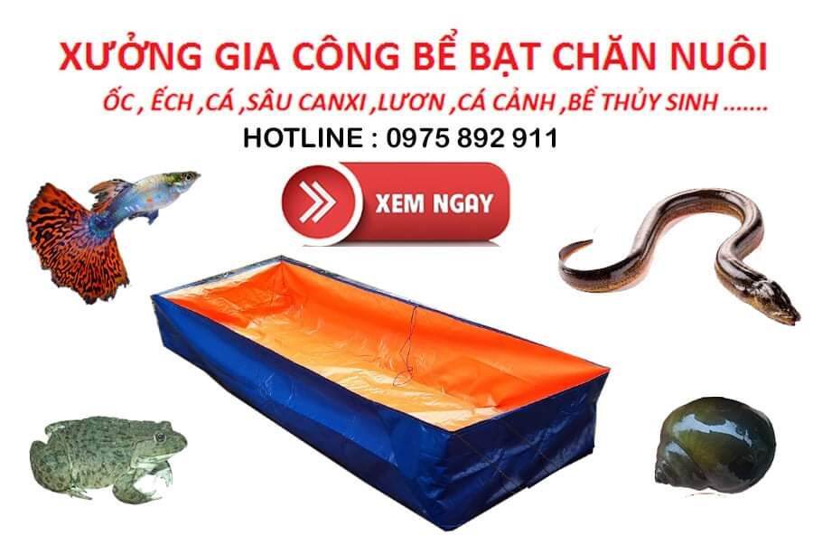 Bể bạt nuôi ốc , ếch , cá - loại 24m2 cao 1m