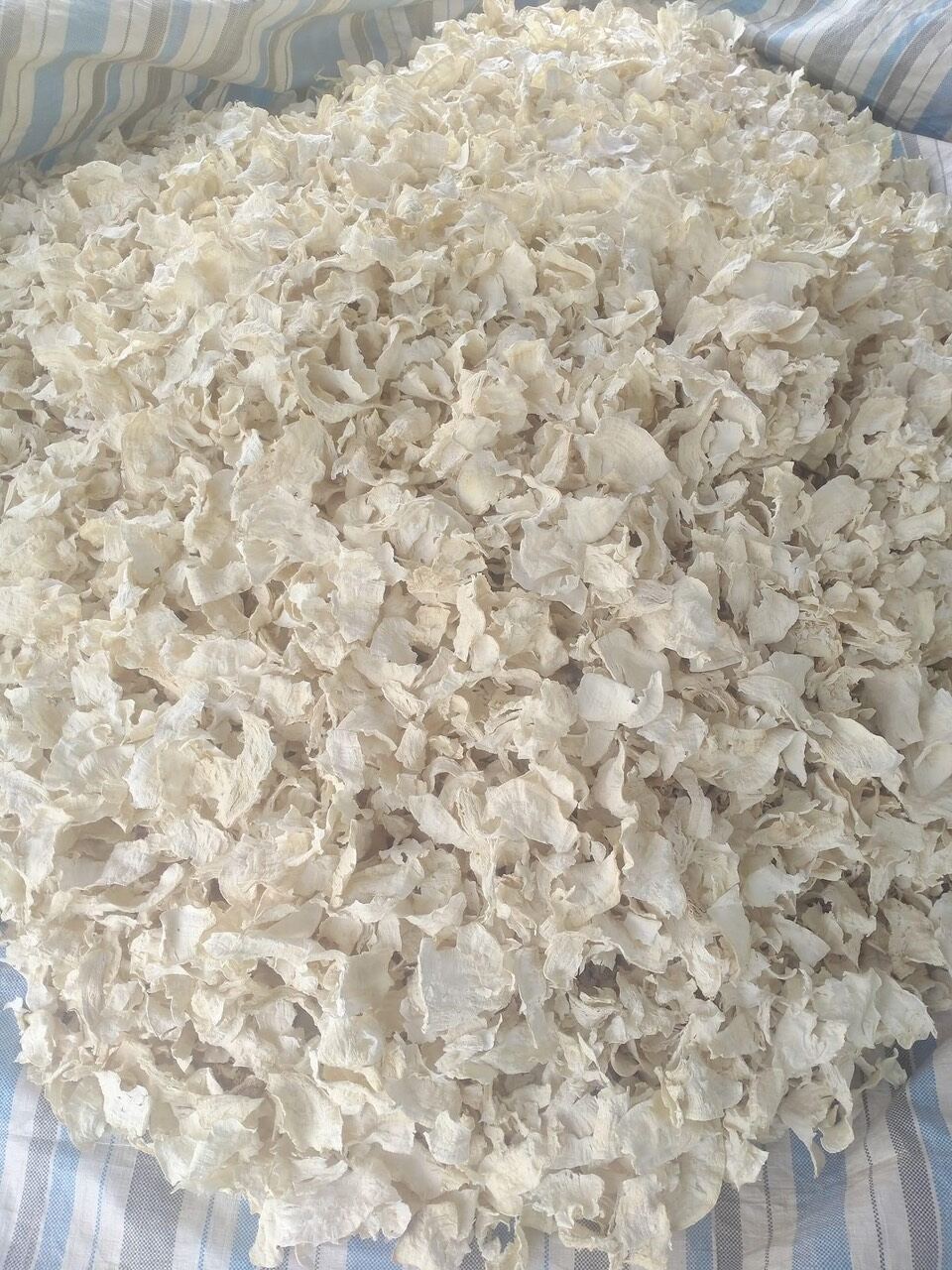 Sâm tố nữ miếng hàng loại 1 trắng đẹp,sâm tố nữ thái lát,sâm tố nữ nguyên miếng sấy khô hàng trắng đẹp loại 1,sỉ lẻ sâm tố nữ lát miếng loại 1,sâm tố nữ thái lát chuyên trắng da,tăng cường nội tiết tố nữ