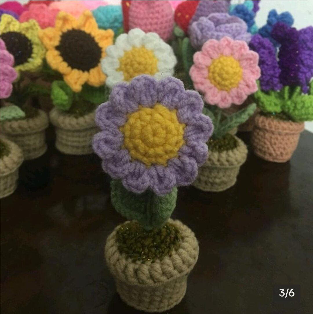 Chậu hoa cúc mini bằng len handmade