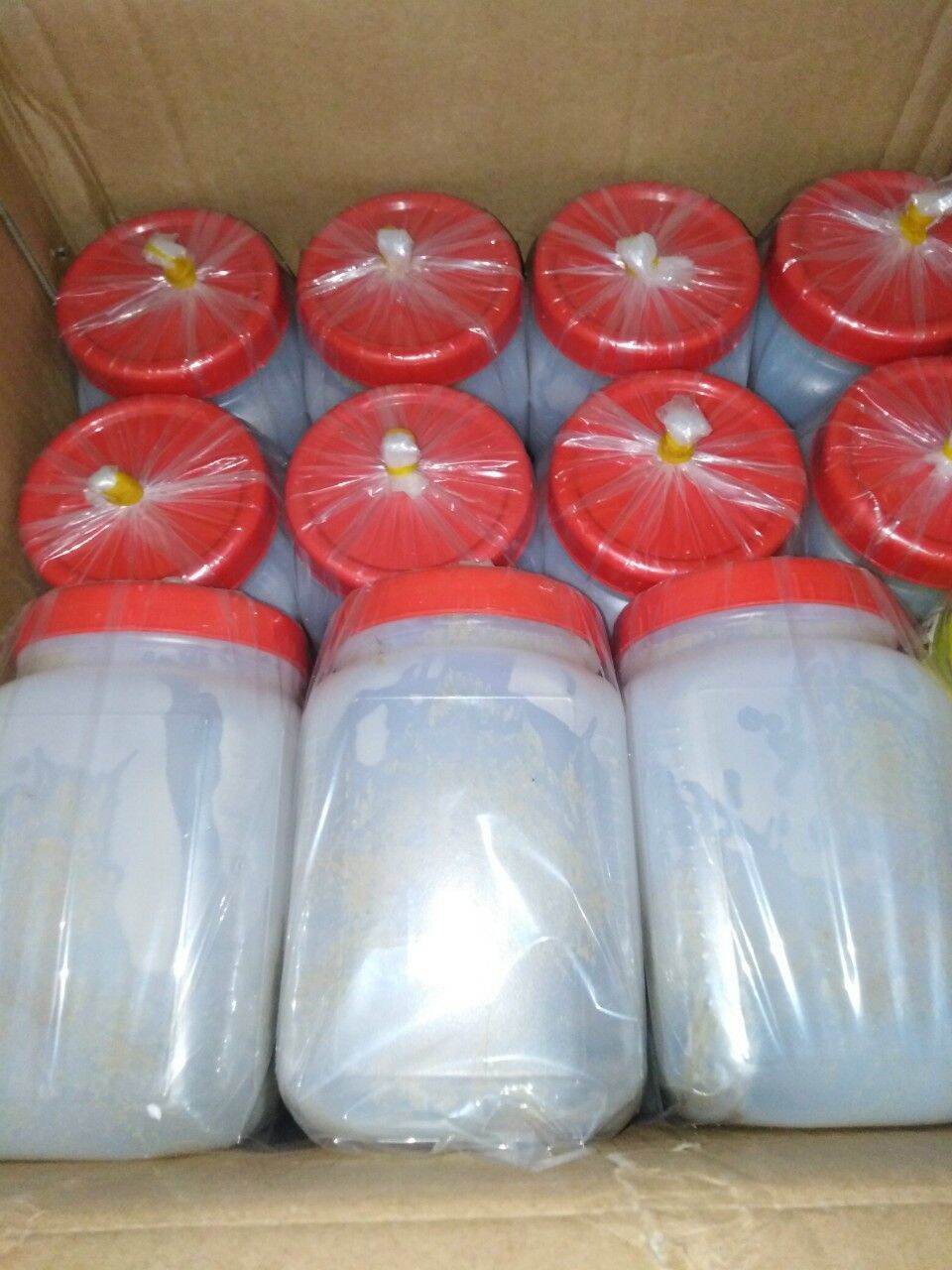 Mồi câu cá lăng 1kg chất lượng