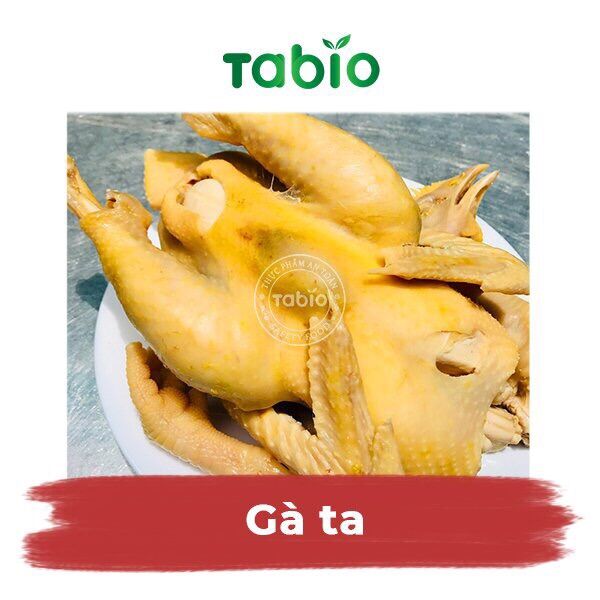 HCM - Gà ta 1,2kg - 1,3kg - TABIO