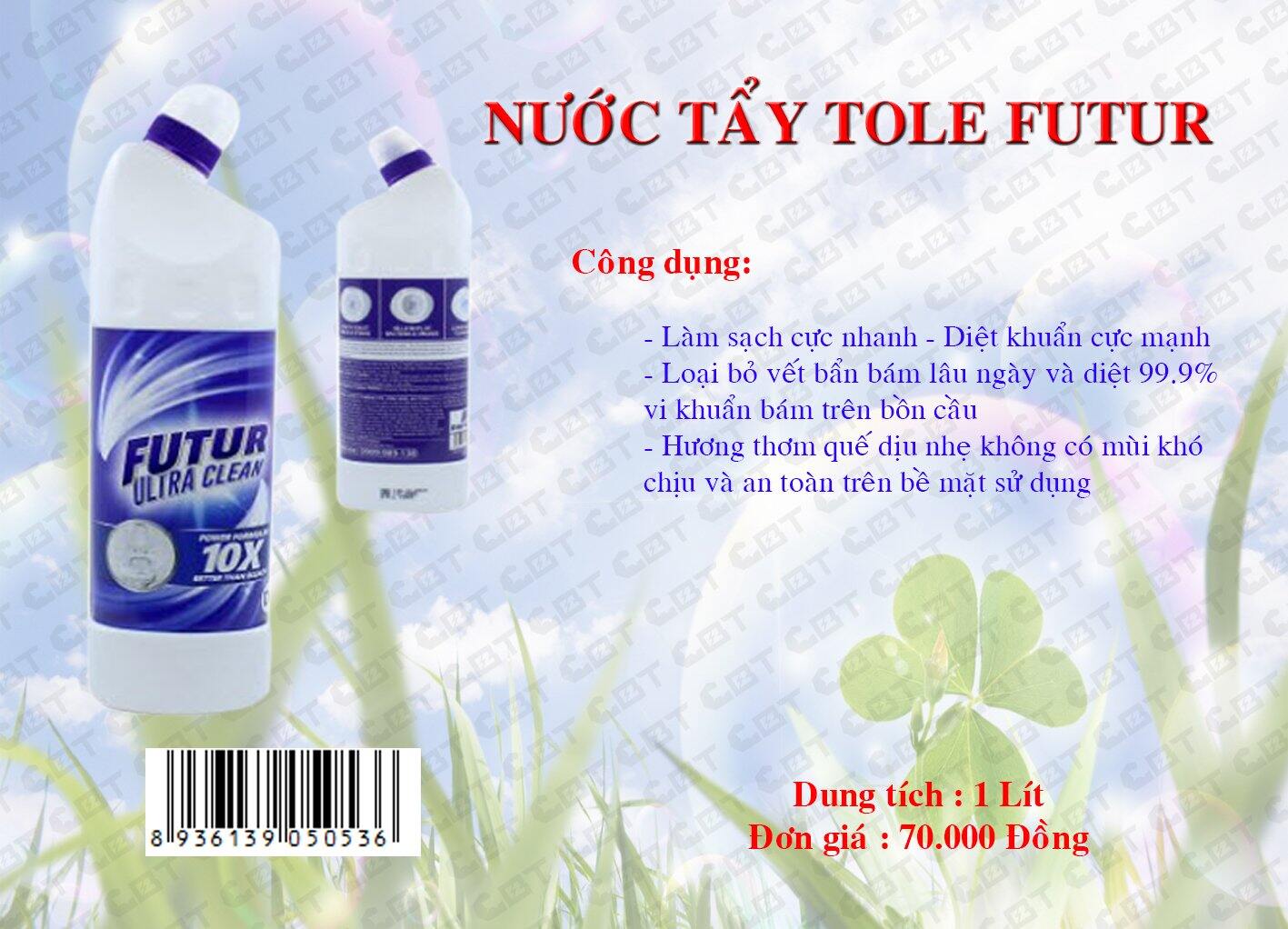 Nước tẩy toilet futur.