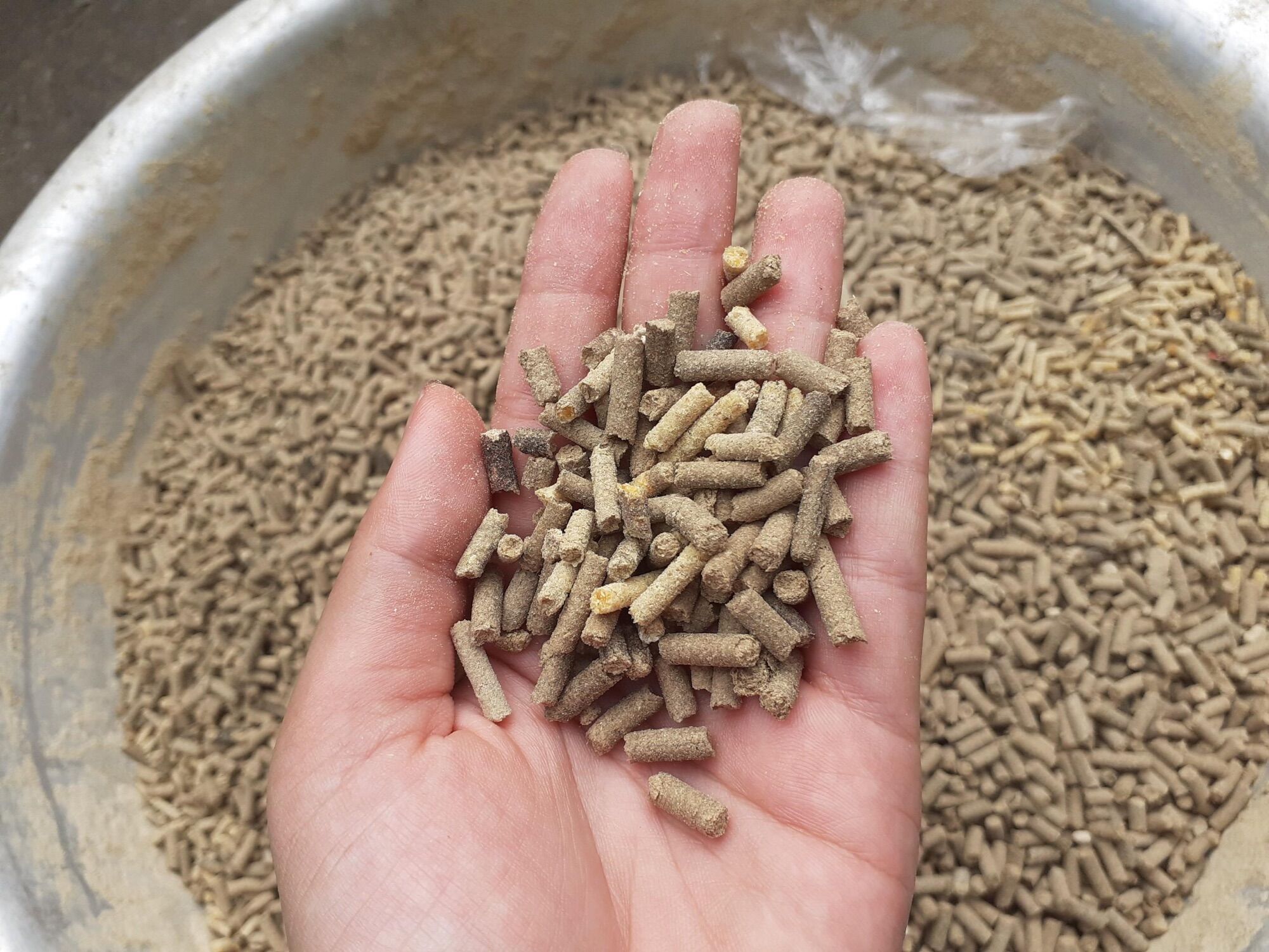 500g cám viên cho gà lớn, chim, chuột