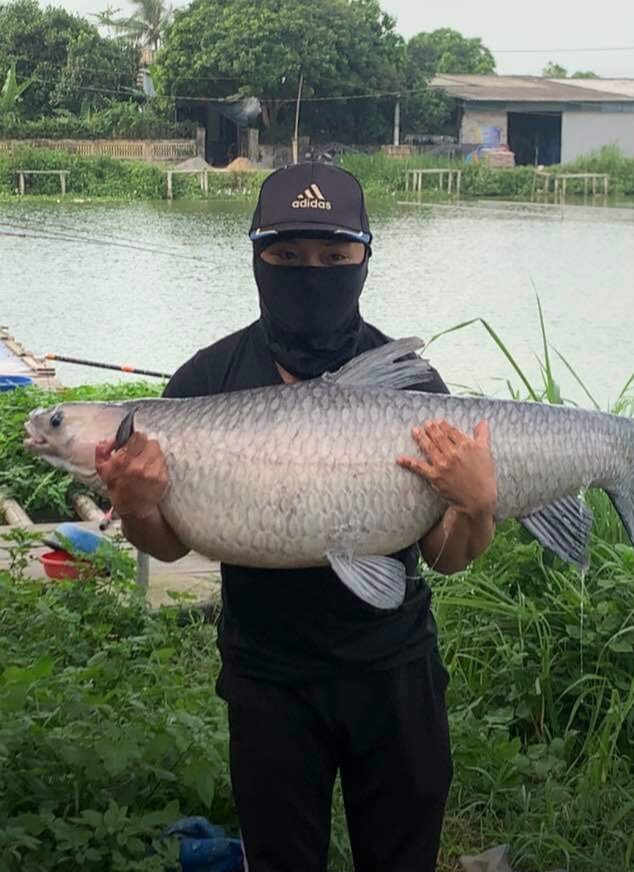 Mồi Câu - Thính Săn Đen - Thuốc Bắc 9 Vị