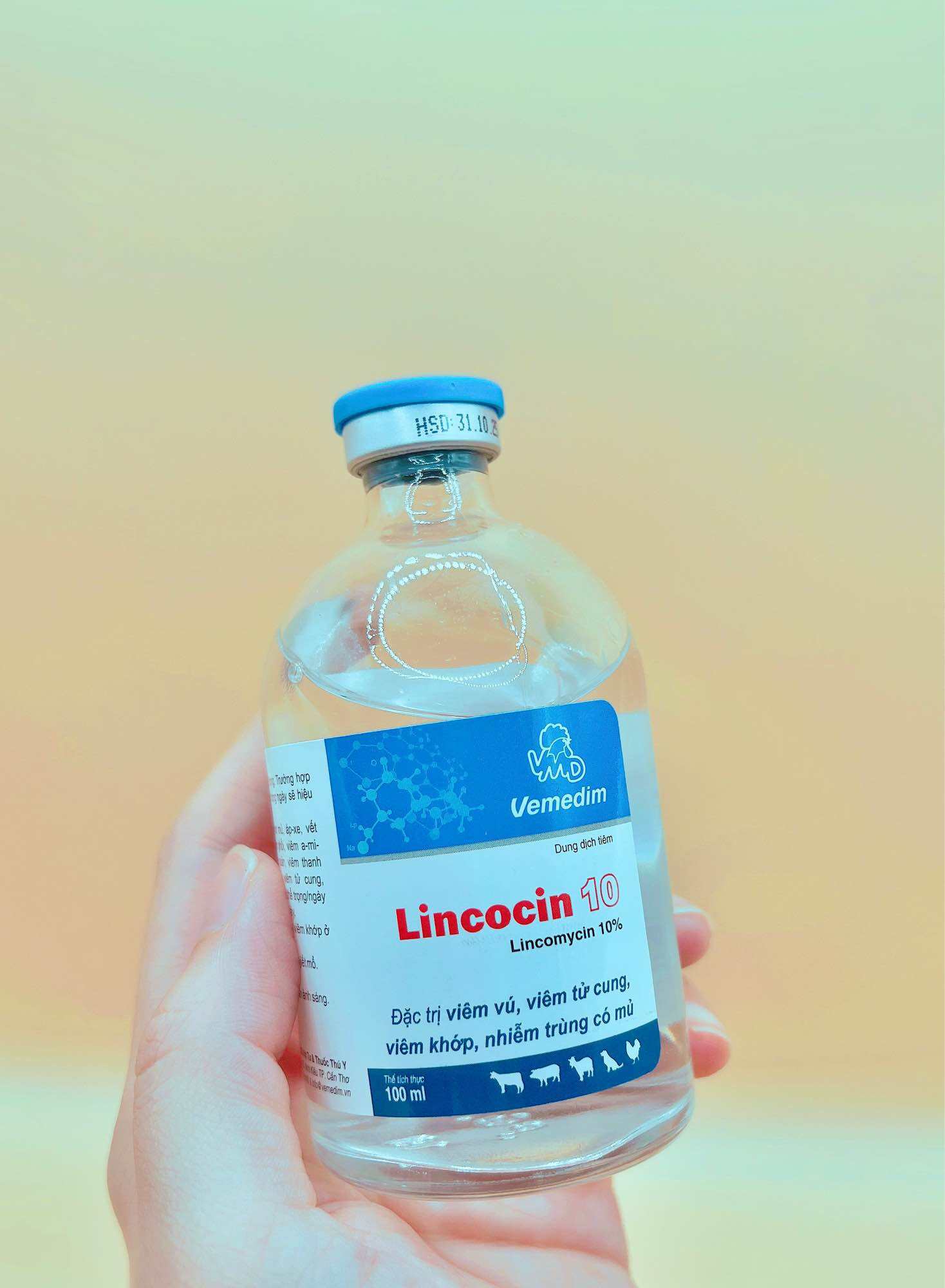 LINCOCIN 100ml viêm vú viêm khớp viêm tử cung áp xe nhiễm trùng có mủ  chó heo trâu bò và mèo