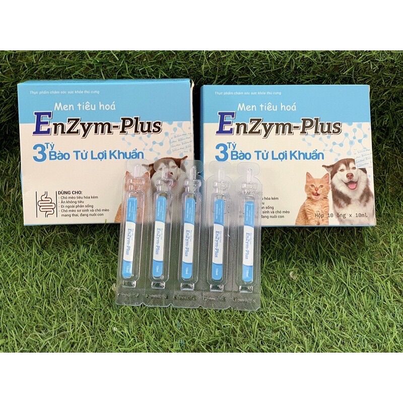 Men Tiêu Hóa Cho Chó Mèo EnZym-Plus