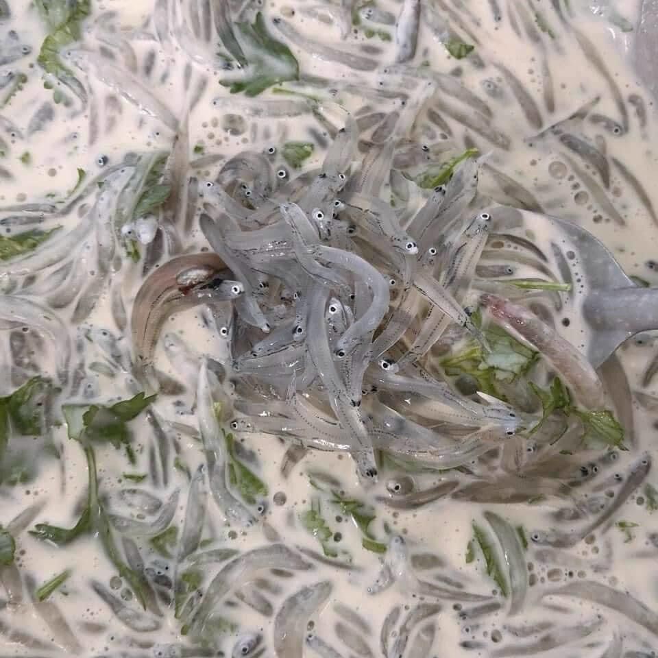 1kg cá cơm mờm sữa tươi (hỏa tốc 2h Tphcm)