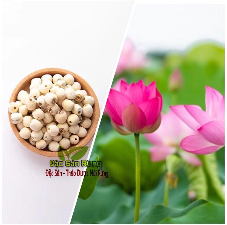 HẠT SEN  ĐỒNG THÁP Khô Thơm ( 100gr )- ĐSR
