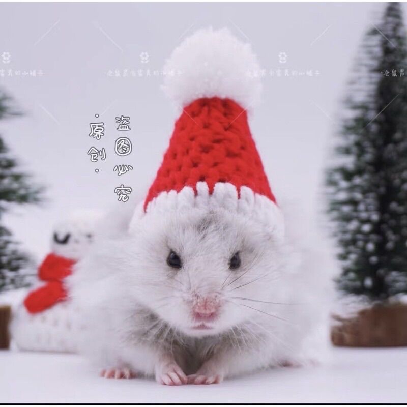 Nón mũ cho hamster mũ Noel