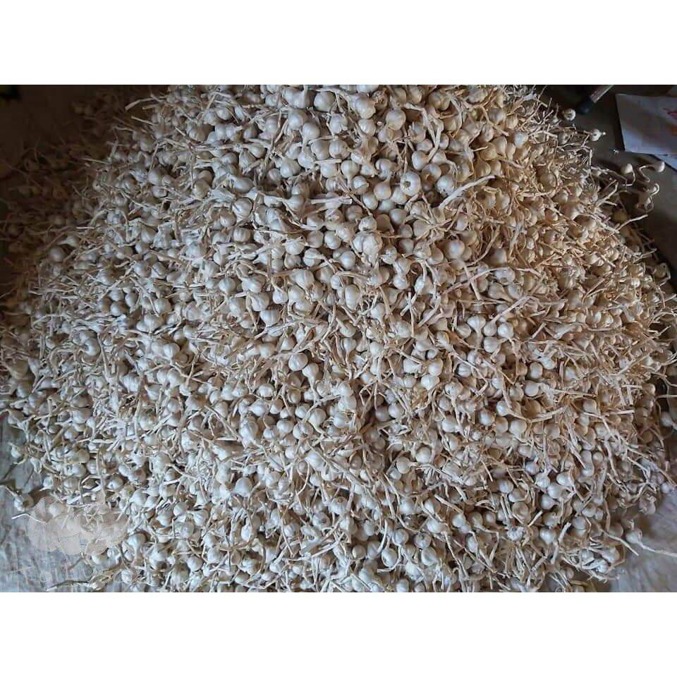 Tỏi Lý Sơn túi 500g