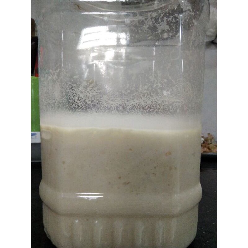 Cơm mẻ cái, có thể dùng hoặc nuôi, 1kg