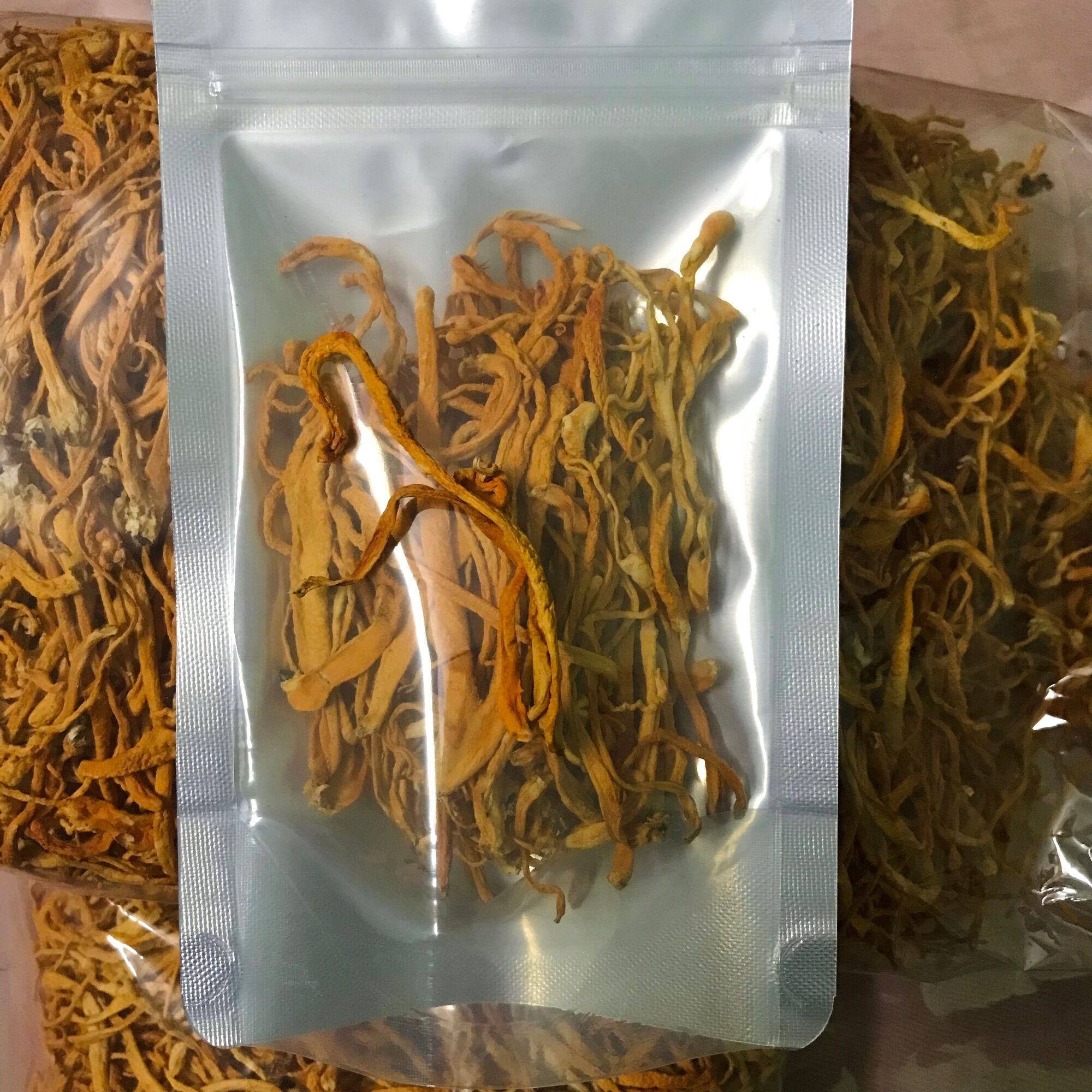 Đông trùng hạ thảo cao cấp túi 100g