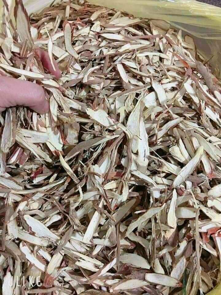 Sâm cau ngâm rượu 1kg