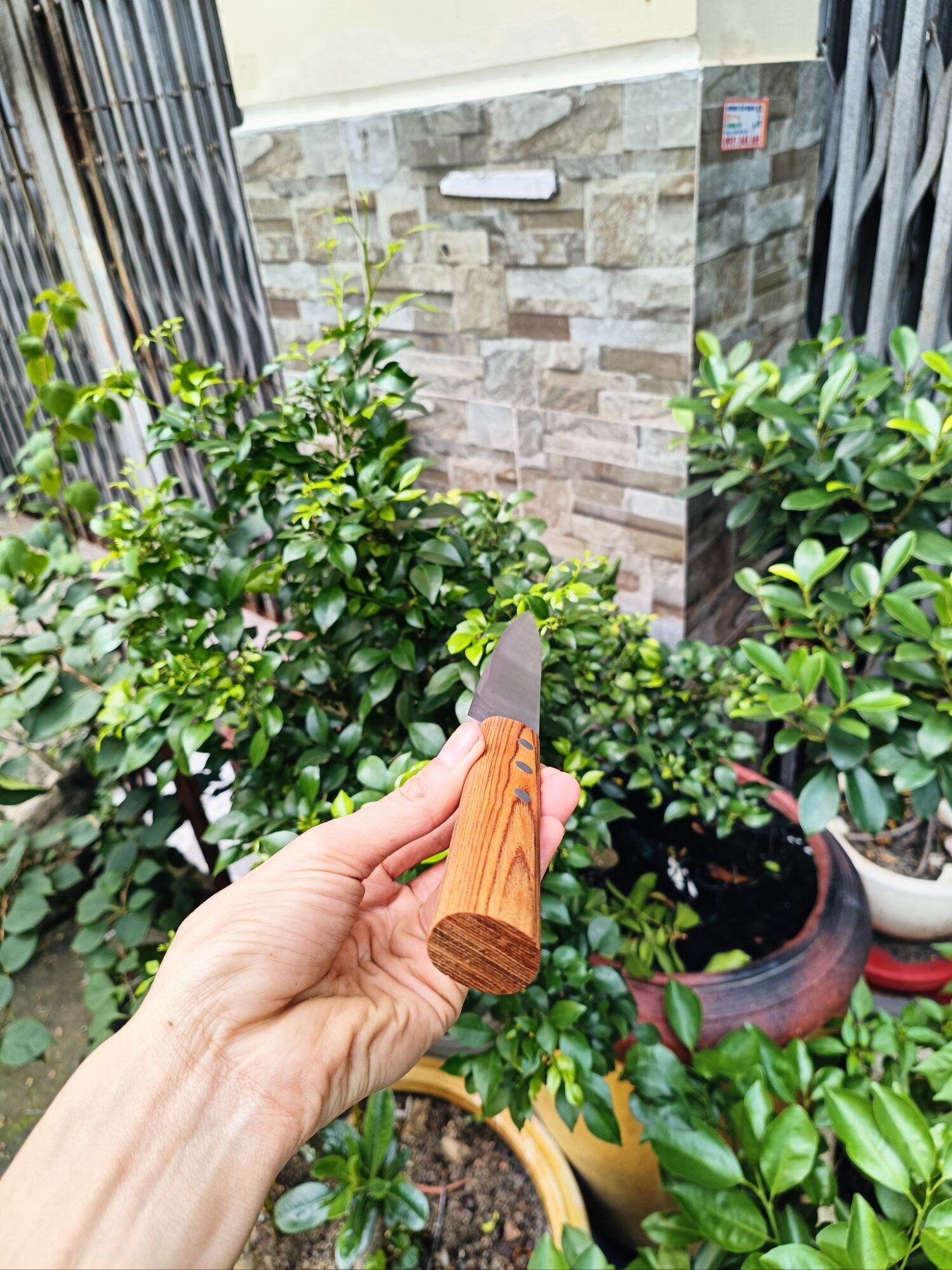 dao làm bếp thái thịt sasimi Japan cao cấp