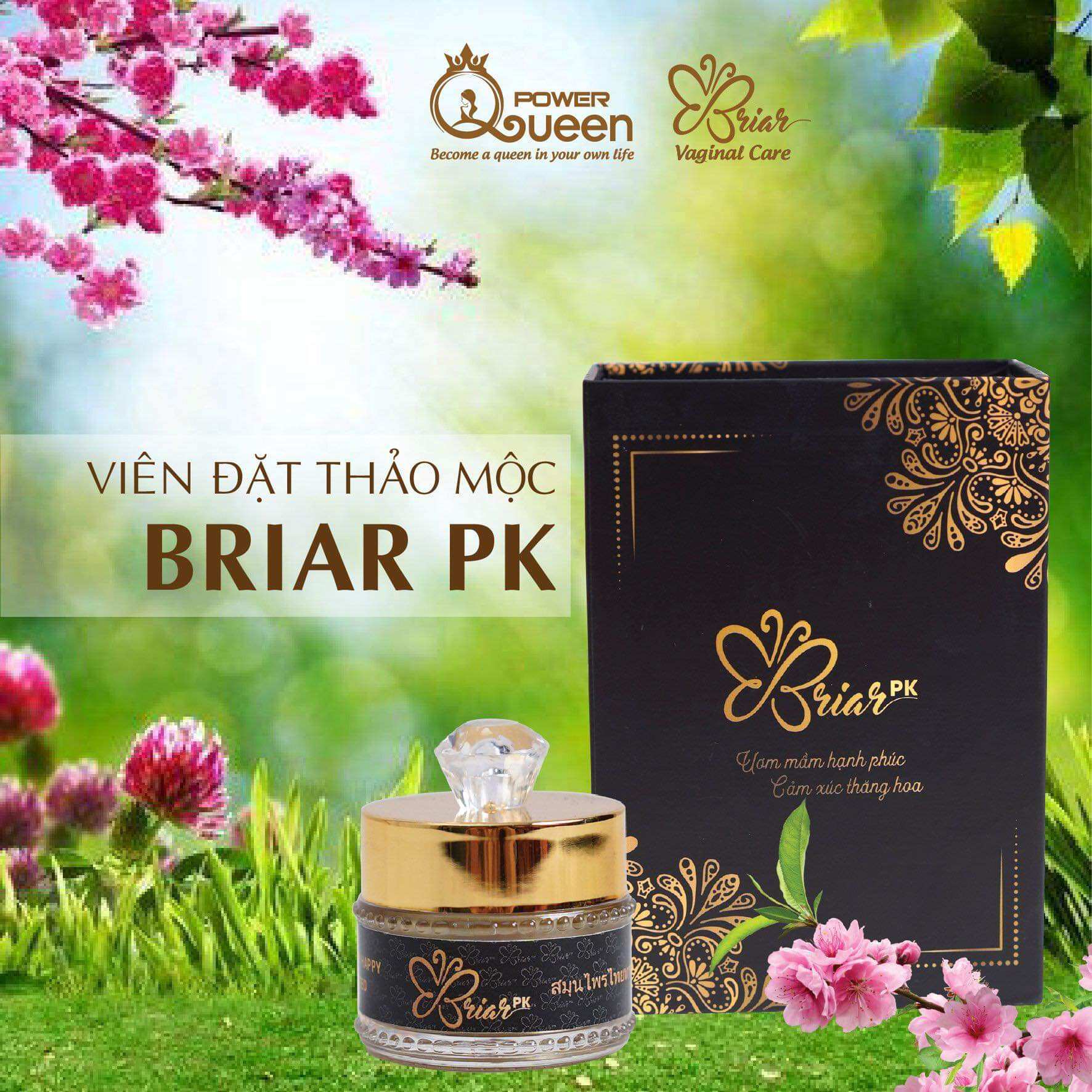 Viên đặt thảo mộc Briar p.k