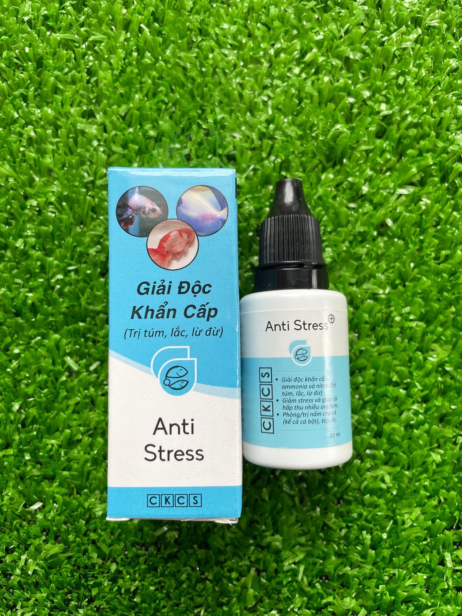 Anti Stress