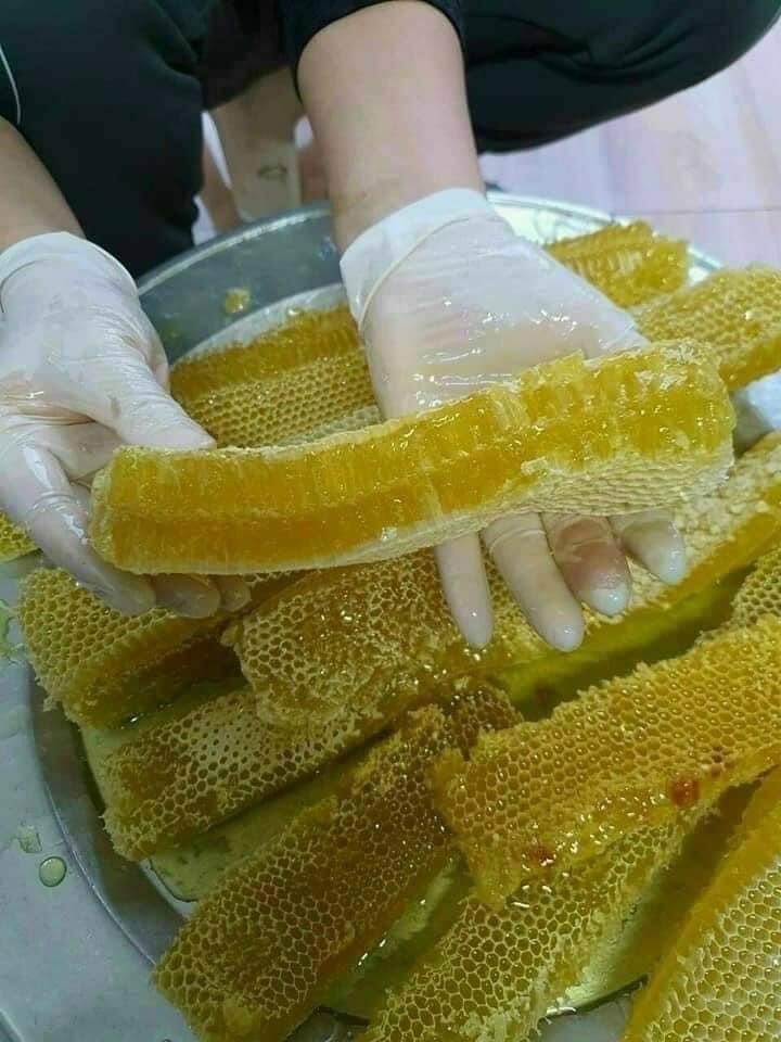 Mật bạc hà 1lít. Mật chuẩn bao test