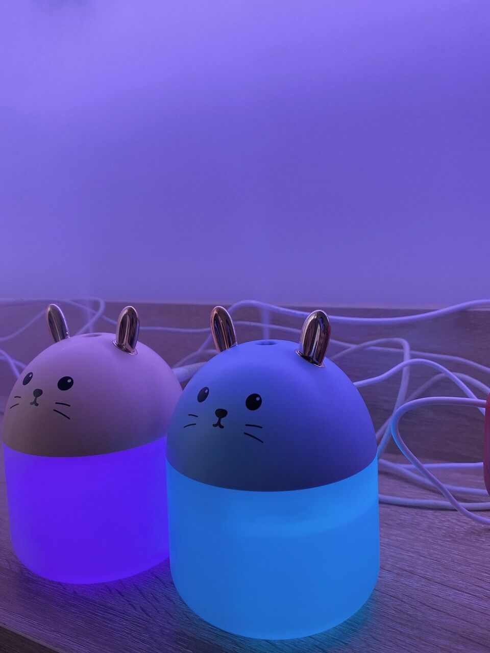 Bình phung sương tinh dầu, chuột cute