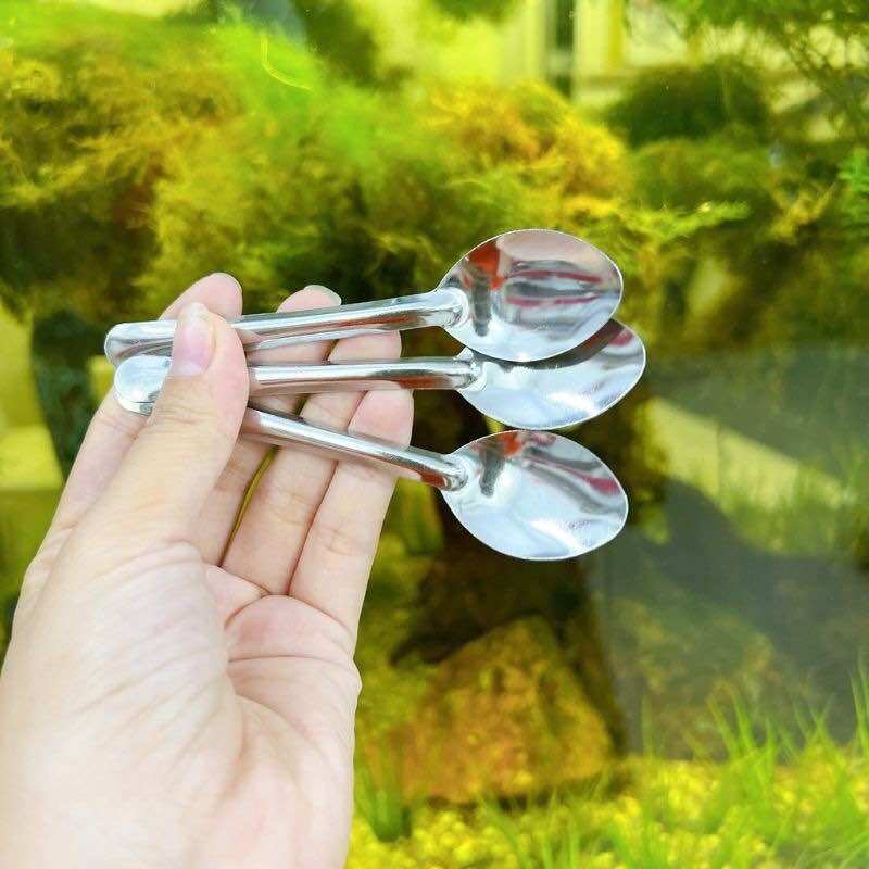 🐣set 10 cái muỗng inox ăn trứng lộn , cà phê ngắn