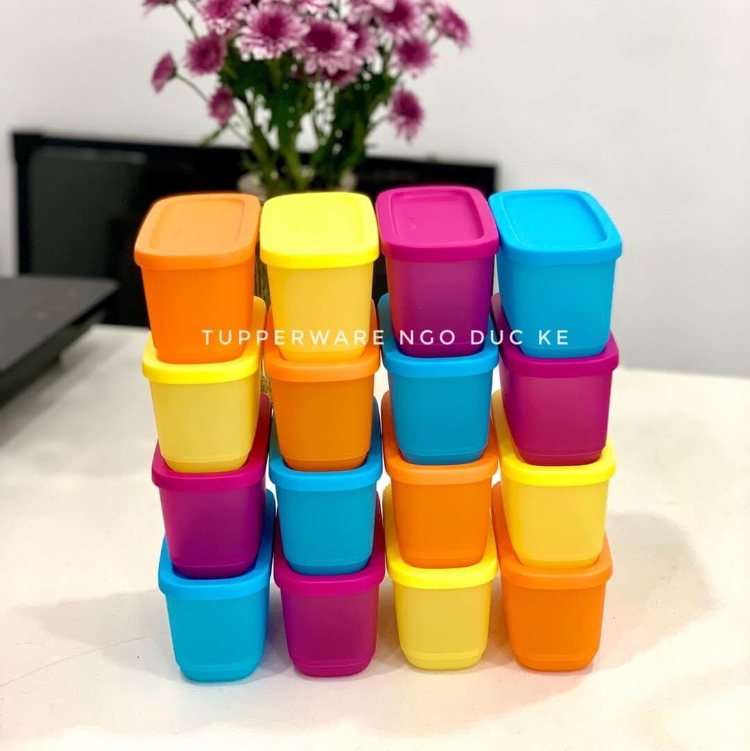 Hộp BQTP Ngăn mát và trữ khô Mini Rect 250ml ( hộp lẻ - màu ngẫu nhiên )