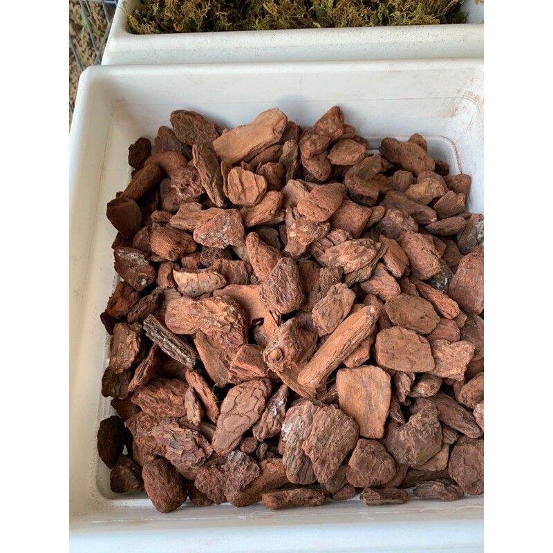 Vỏ thông trồng lan (1 kg, size 1-2 cm) đã được xử lý