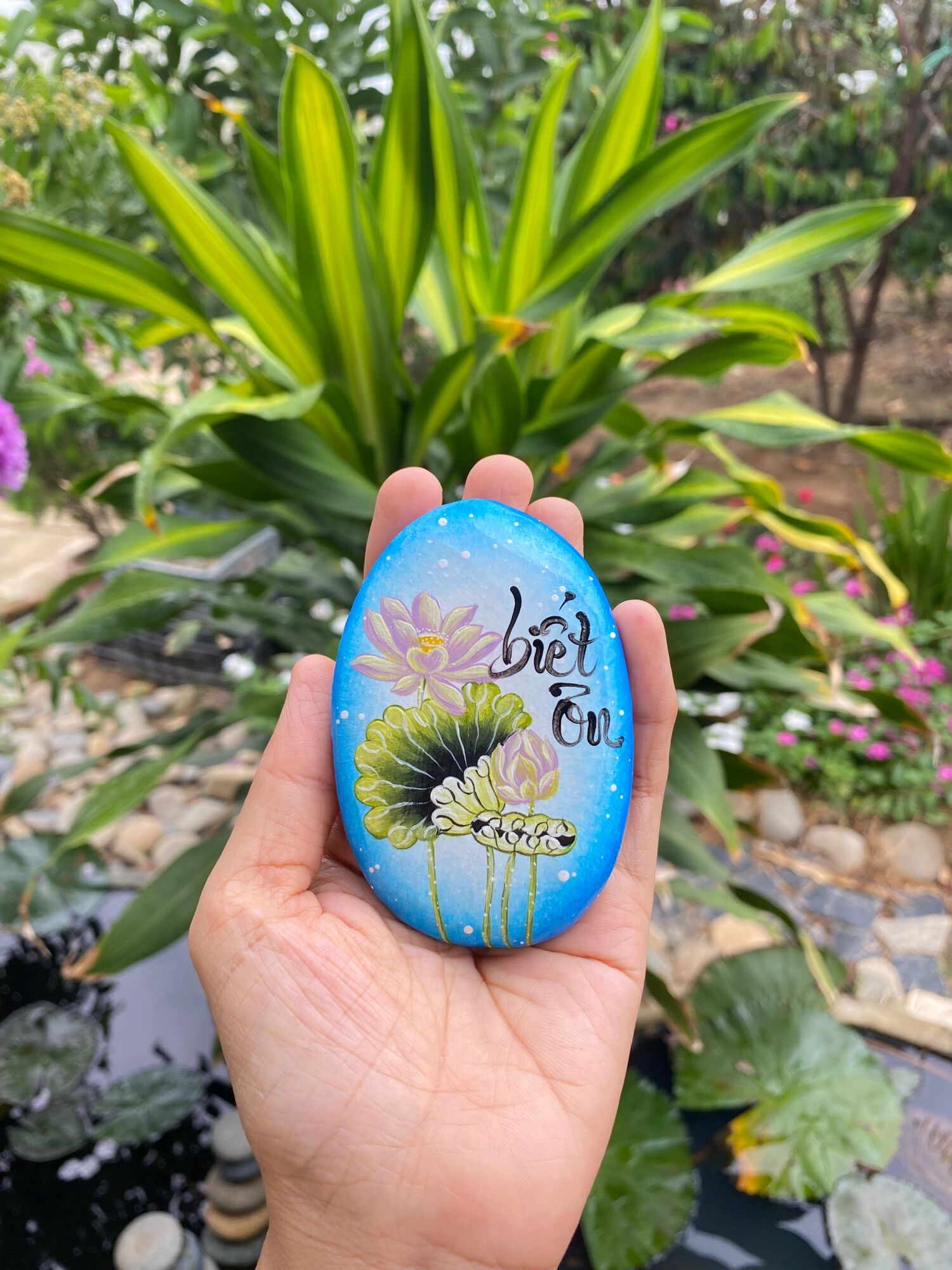 Hòn đá biết ơn mẫu hoa sen