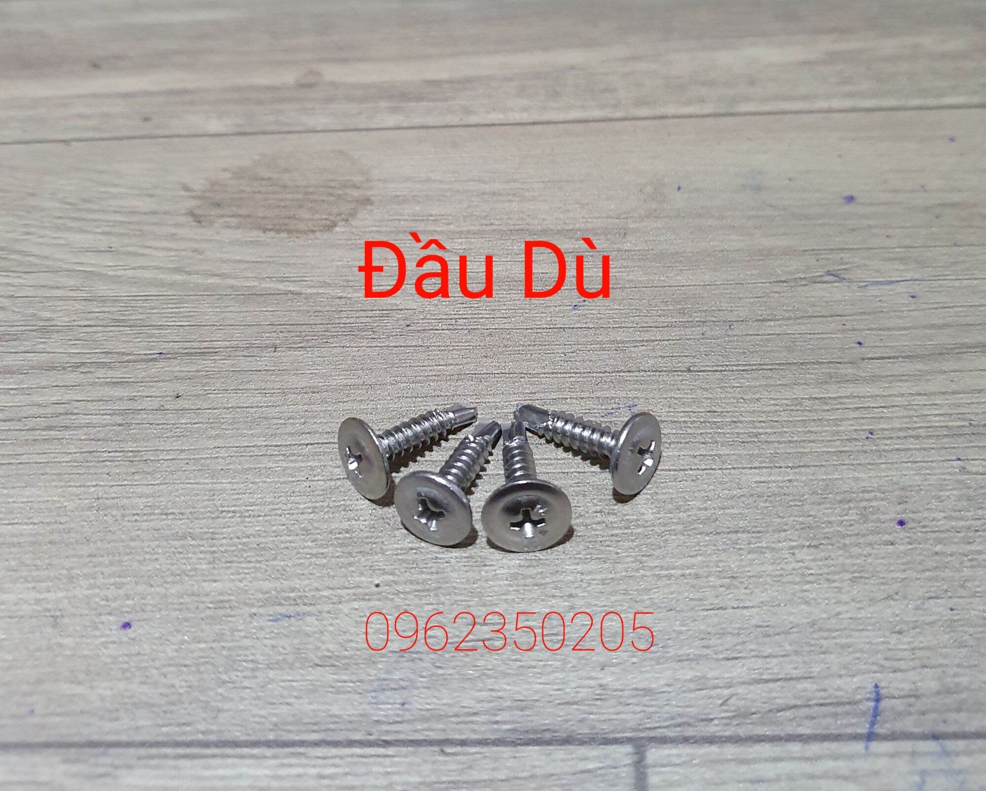 [HCM]100 gr Vít Đuôi Cá Đầu Dù Inox 13,19,25,30mm.