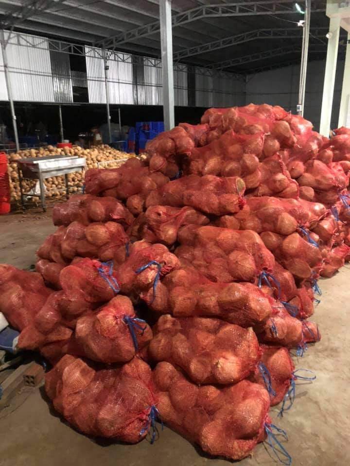 Dừa khô 1 trái dưới 1kg