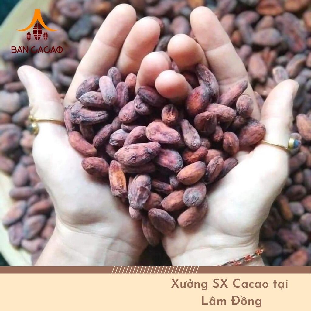 Dark chocolate 72% bar - Vietnam chocolate Bản Cacao