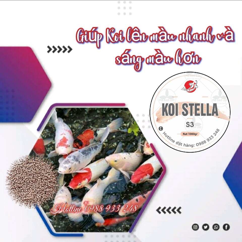 Cám KOI STELLA S3 (3mm)cho cá Koi, cá Cảnh/ 1KG