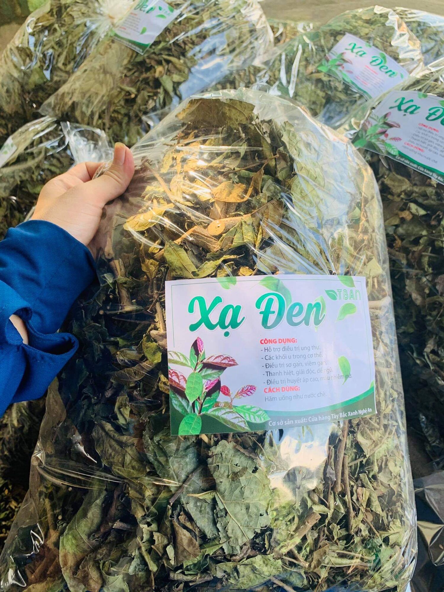Lá xạ đen khô