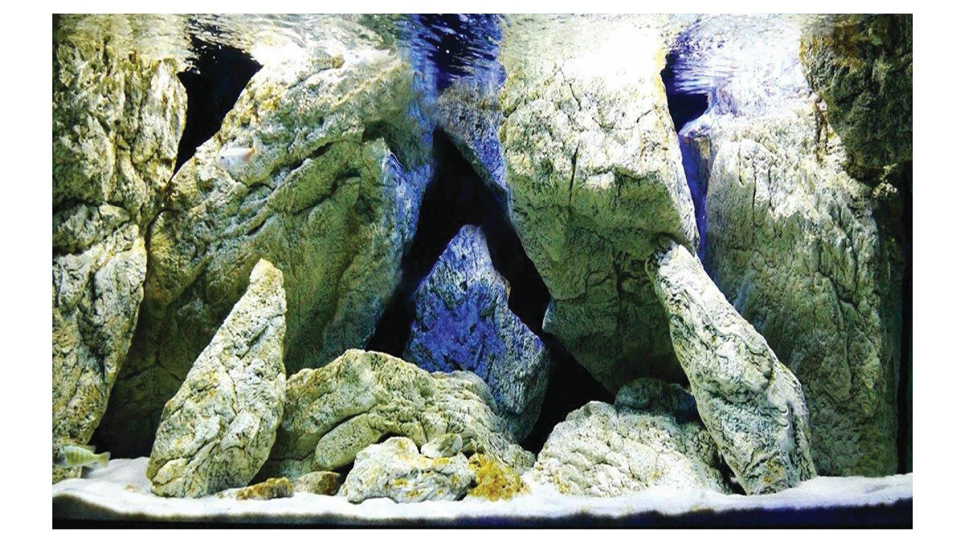 tranh 3d dán hồ cá  DECAL VIP- IN THEO KÍCH THƯỚC HỒ ( tranh lưng )